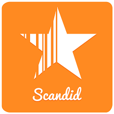 Scandid-Logo-lifebeyondnumbers