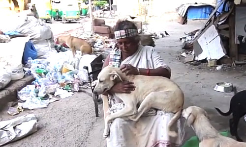 Pratima Devi – The Rag Picker Who Takes Care Of 300+ Stray Dogs