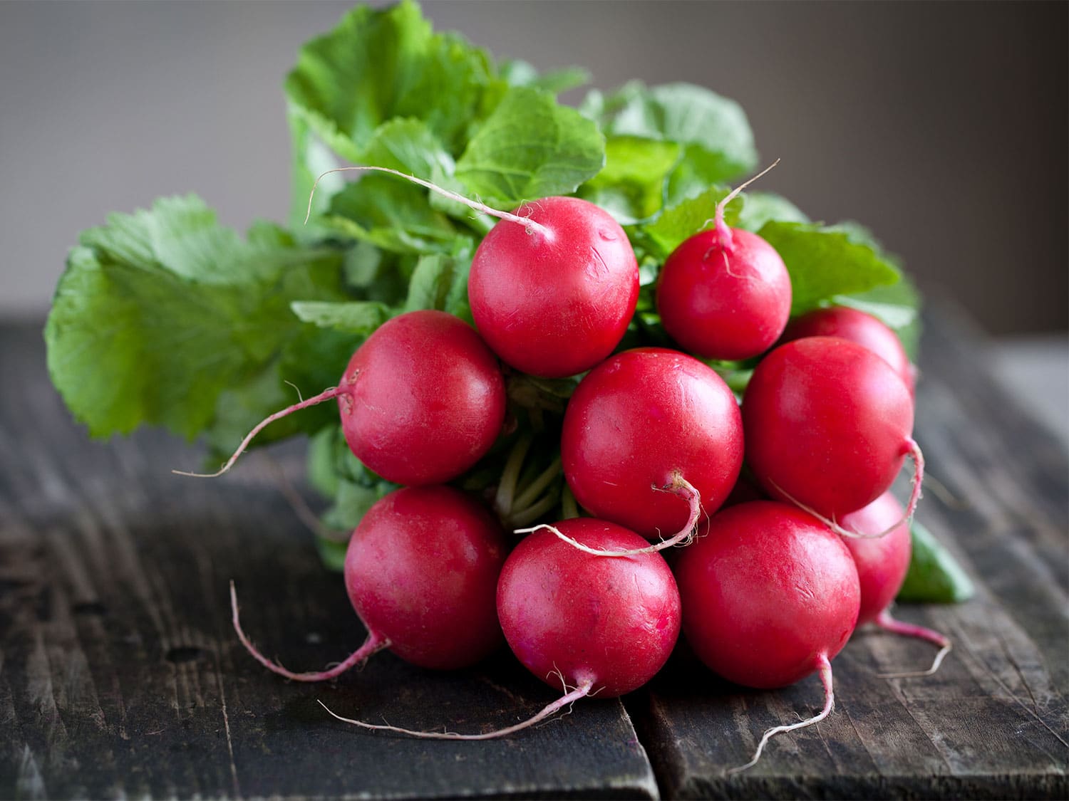 health benefits of radish