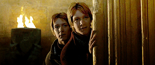 Harry potter Fred and George