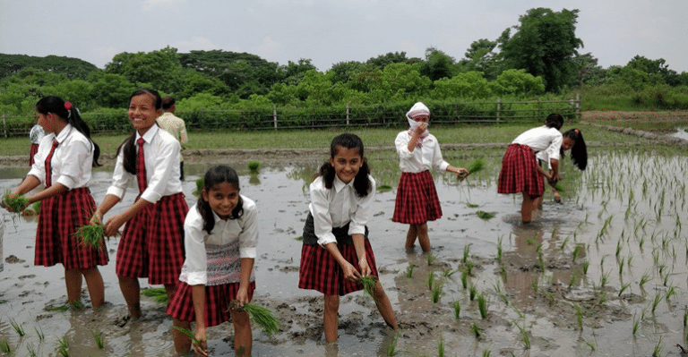 Assam’s College Give Their Students A Taste Of Farmer’s Life And Winning Hearts On Social Media