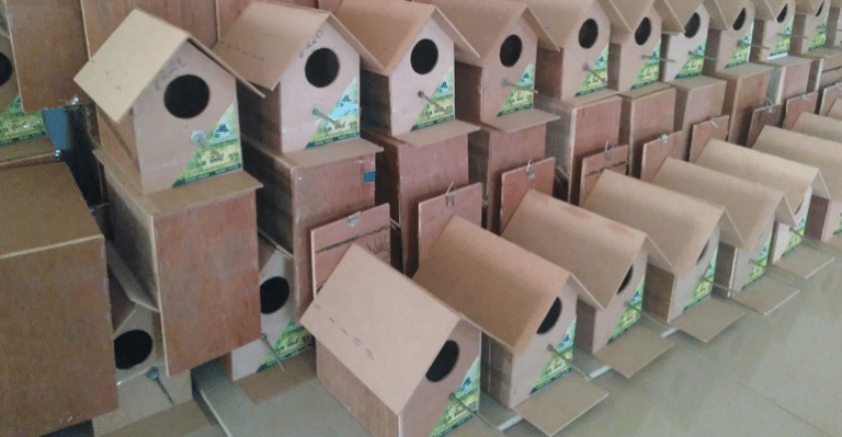 Gujarat Is Making “Sparrow Villas” To Save These Birds From Getting Extinct