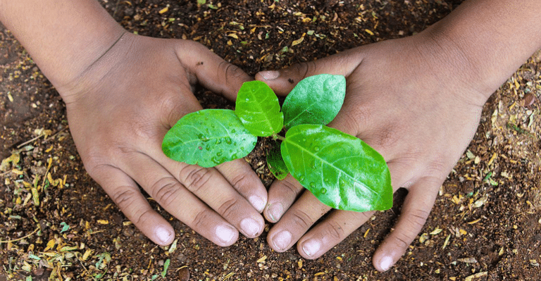 To Score Good Marks In Board Exams, Take Care Of Plants: Karnataka Forest Department