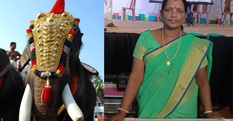 By Making Caparison, This Housewife From Thrissur Is Shattering Stereotypes