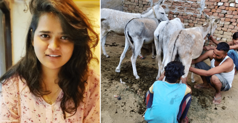 With Rs.2000 A Liter, Donkey Owners Are Milking To A Better Life, Thanks To An Idea Of This 24-YO