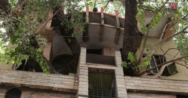 This MP Family Didn’t Cut The 150-YO Sacred Peepal Tree, Rather Built A House Around It