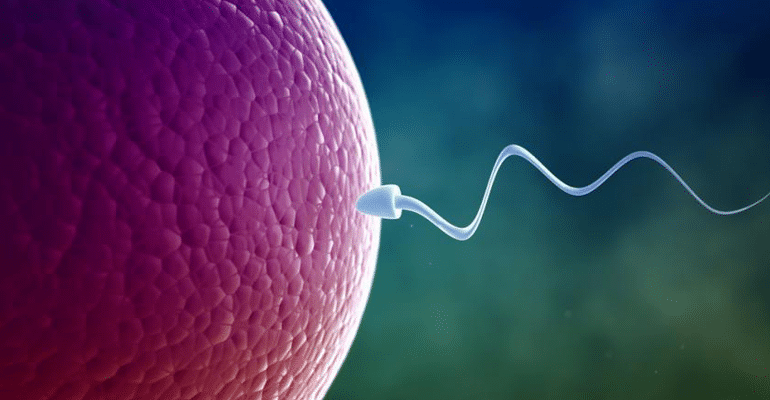infertility myth buster