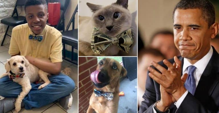 Even Obama Couldn’t Stop Praising This 12-YO Who Designs Bow Ties To Help Shelter Pets Get Adopted