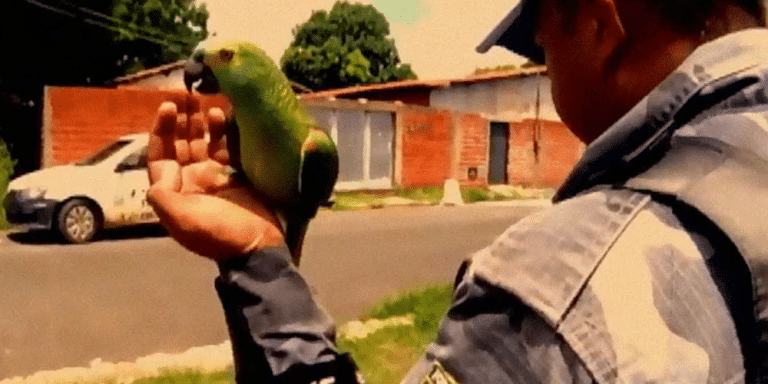 A Bird Gets Arrested For Shoplifting. Is It Even Possible? Check Out This Viral Post