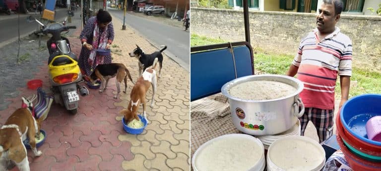 What This Homemaker Has Done For Her Husband’s Love For Street Dogs Is Aww-dorable