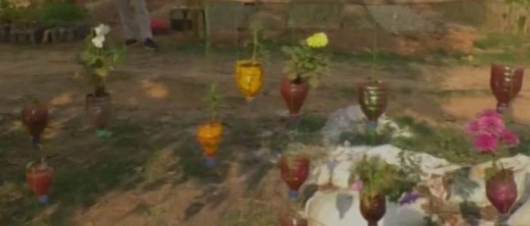 How Will You Reuse Discarded Plastic Bottles? Take A Cue From Chhattisgarh Forest Department