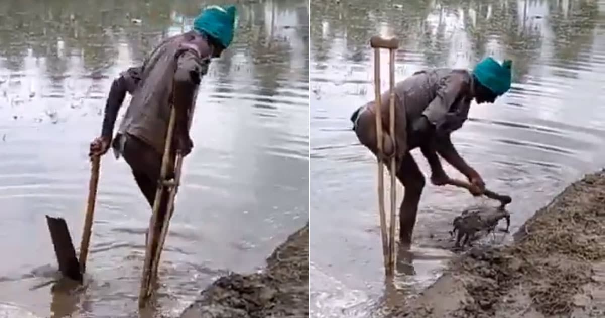 disability farmer hero