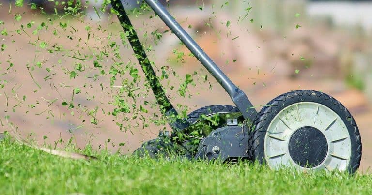 How To Keep Your Lawn Neat And Clean