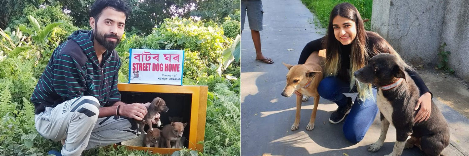 Dogs And Cats Shelter Homes Made By Citizens To Keep Them Warm