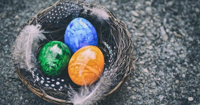 4 Fun Family Activities This Easter You Can Do
