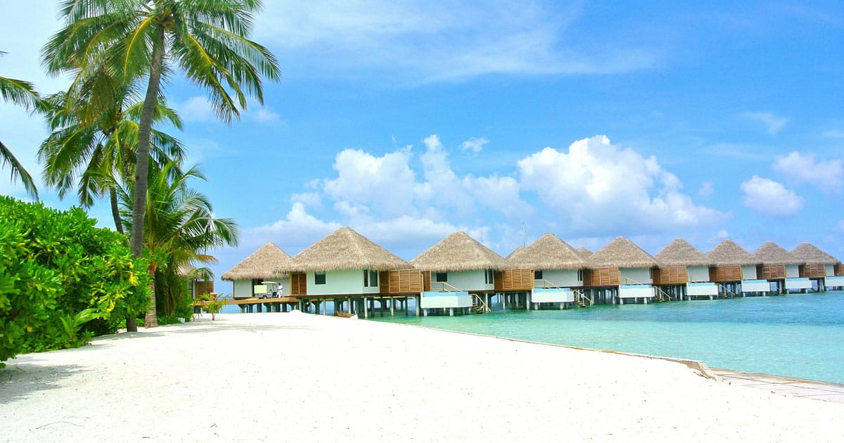 Honeymoon in maldives