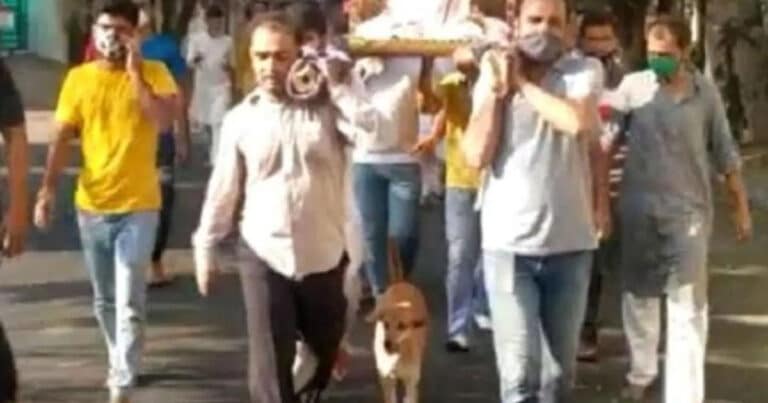 Till Death Do Us Apart: Sadhvi’s Loyal Dog Walks Her To Funeral Pyre