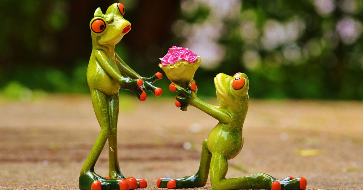 frog marriage india