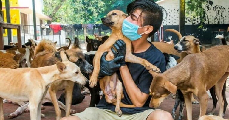 This Animal Dispensary In Chennai Is Saving Hundreds Of Stray, Abused, And Ailing Animals