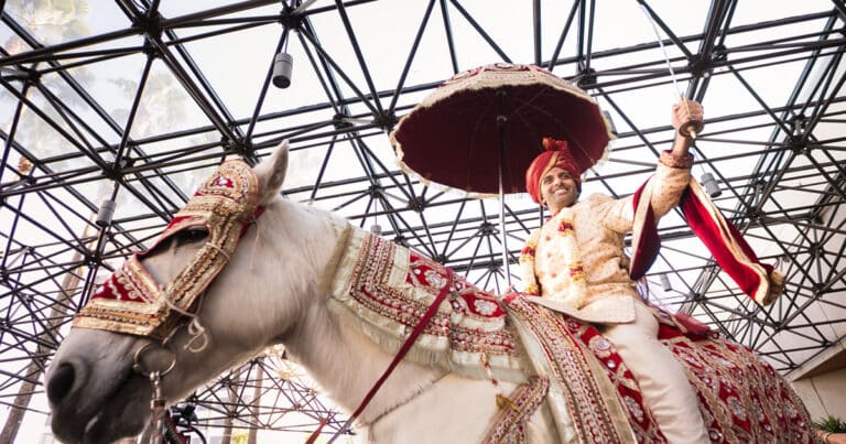 PETA India Launches Campaign To Promote Horse-Free Marriages To Stop Animal Abuse
