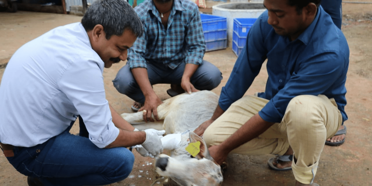 This Rajasthan Vet Has Provided 200+ Free Prosthetic Limbs To Amputee Animals