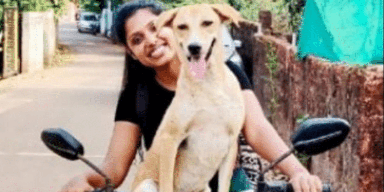 This Traveler Found The Most Pawsome Hitchiker In Goa And Gave Him A Jolly Good Ride