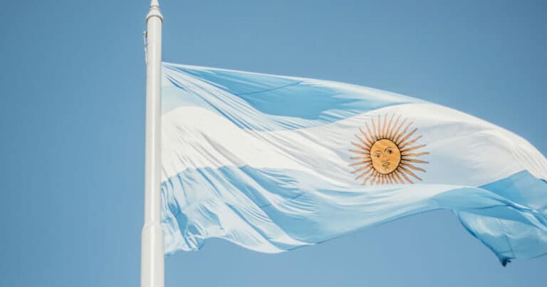 Buying an Argentinian Flag for Your Home? What You Need to Consider First