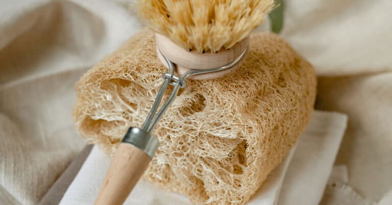 7 Reasons Supporting the Use of Organic Loofah