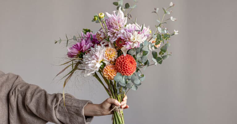 Beyond Roses: Unique and Unconventional Flowers for Gifting and Decoration